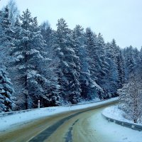 Зимняя дорога домой :: Mavr -