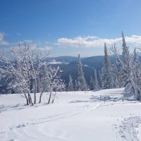 Сектор Е :: Виталий Пылаев