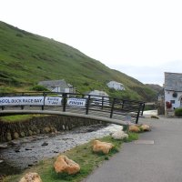 Boscastle CP School duck race day:-) :: Olga 