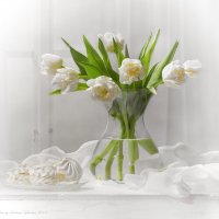 С белыми тюльпанами и зефиром :: Светлана Л.