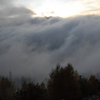 Лес в облаках :: Медведев Сергей 