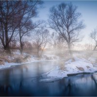 Февраль, река Угра... :: Александр Кукринов