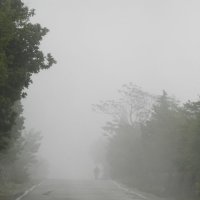 В тумане :: Марина Жилякова