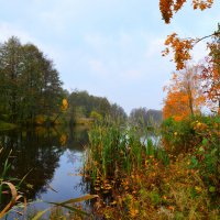 Осенний пейзаж. :: Алексей Жуков