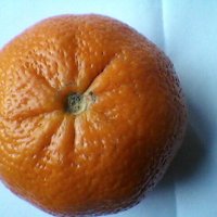 Апельсин :: Миша Любчик
