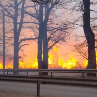 пожар на поле :: Ирина Горина