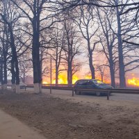 пожар на поле :: Ирина Горина
