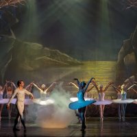 Сцена из балета "Лебединое Озеро" :: Владимир Максимов