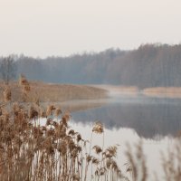 на озере :: александр макаренко