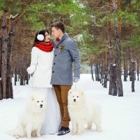 Зимняя свадьба :: Екатерина Седых