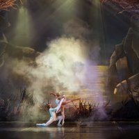 Сцена из балета "Лебединое Озеро" :: Владимир Максимов
