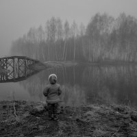 В туман :: Александр Губарев