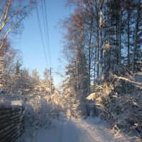 Зима :: Наталья Андреева