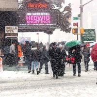 В Нью Йорке снег. :: Александр Костенко