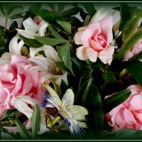 Цветы в саду :: Ирина Киршина