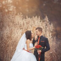 Жених и невеста :: Евгений Ланин