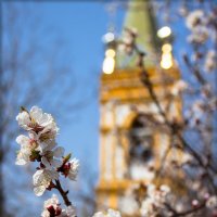 Весна пришла! :: Denis Aksenov