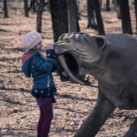 Скажи, кто Друг твой... :: Saratoga .