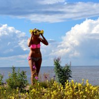 Лето, солнце и цветы :: Владимир Буев