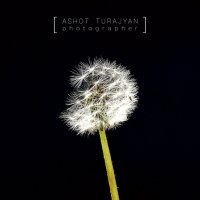 Одуванчик :: Ashot Turajyan