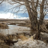 Вешние воды :: Константин Филякин