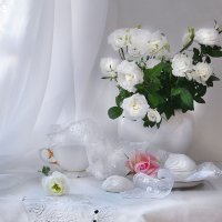 Прекрасна роза розовая, райская... :: Валентина Колова