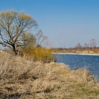 Весенняя река Дубна-2. :: Виктор Евстратов