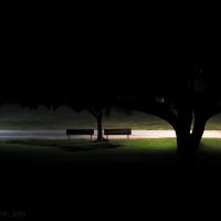 Тишина ночного парка :: Марк Шишкин 