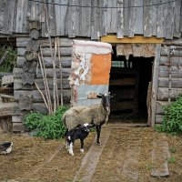 Реакция на срабатывание затвора :: Валерия (ЛеКи) Архангельская