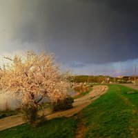 перед дождем... :: юрий иванов