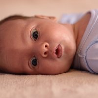 Малыш Антон, 1 месяц :: Andrey Ogryzkov