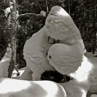 Снежный человек :: Валентин Кузьмин