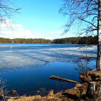 Лесное озеро :: Геннадий Рублёв