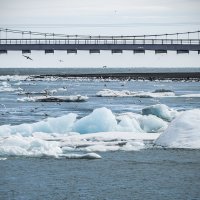 Glacier lagoon :: Александра Галдина