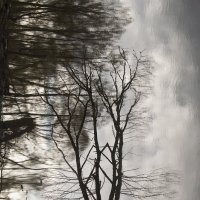 Деревья, небо и вода... :: Фома Антонов