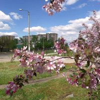 Весна в моём городе... :: Сергей Петров
