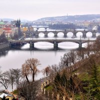 Знаменитый вид на пражские мосты. Февральско-пасмурный вариант :: Денис Кораблёв