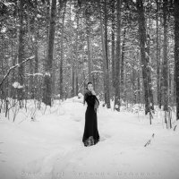 Эльмира в лесу :: Евгения Кулешова