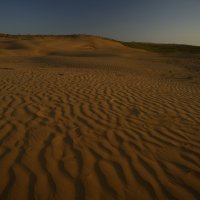 Пески и барханы :: Медведев Сергей 