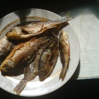 Такая рыбка тоже вкусная!!!! :: Олег Каплун