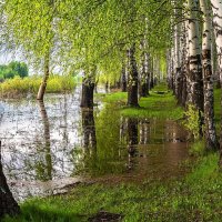 Отражение. :: Александр Тулупов