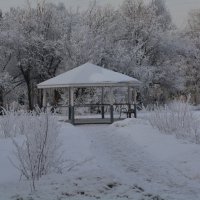 Зима пришла :: aleks50 