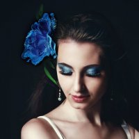 Blue rose :: MissMelania Crow