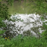 Река Темерник в парке Октября :: Нина Бутко