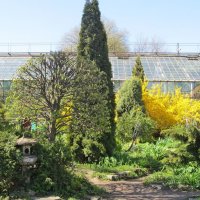 Ботанический сад в мае. :: Ирина 