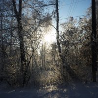 Зима на Урале :: Анастасия Романова