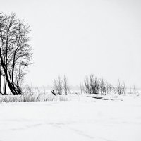 Белое время :: Николай Танаев