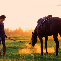 Всадник с конем :: Светлана Старикова