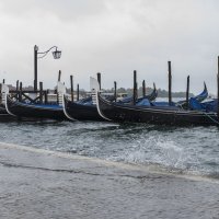 Венеция высокая вода 2014  Città di Venezia - Acqua alta a Venezia :: Олег 
