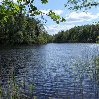 Озеро Трилипис (Литва) :: Славомир Вилнис